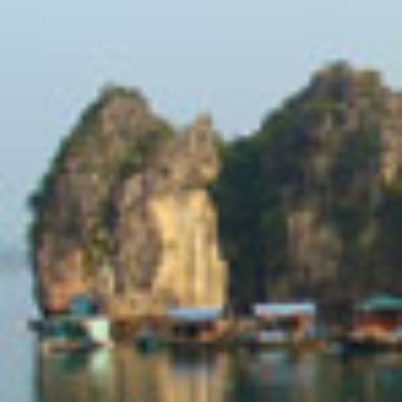 South Indian Dosa Vijay Laxmi